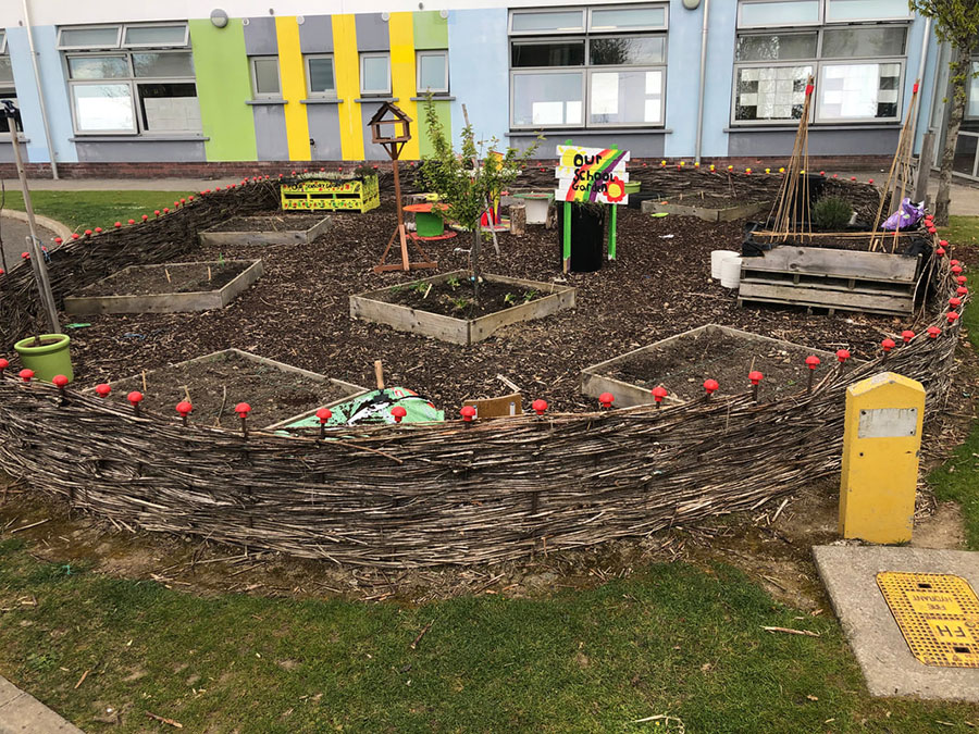 School greenhouse