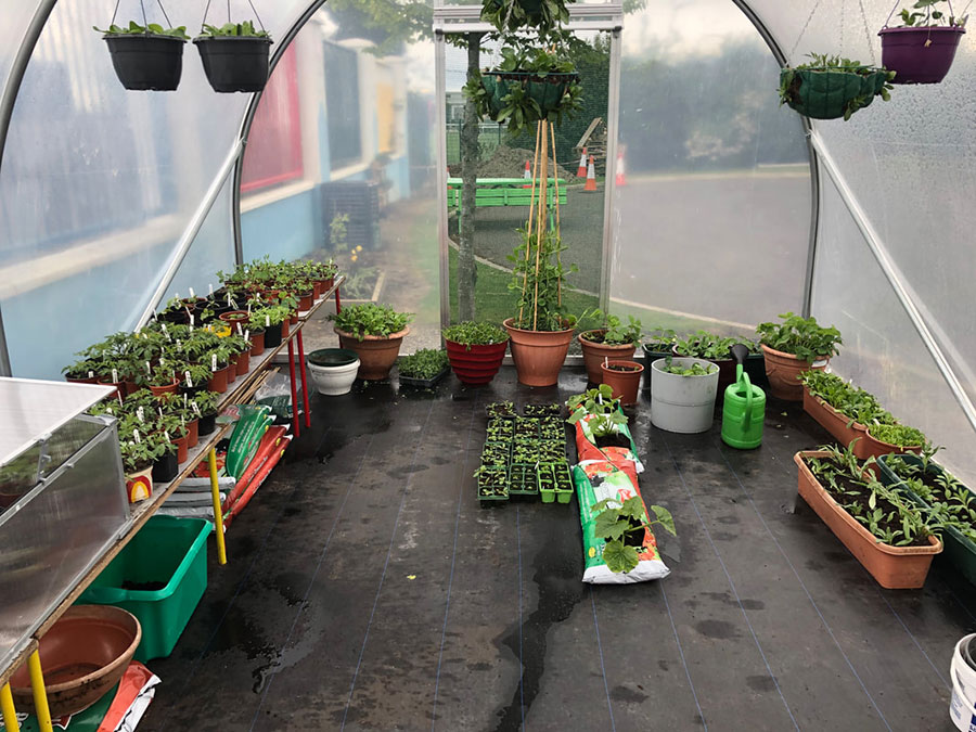 Inside our school greenhouse