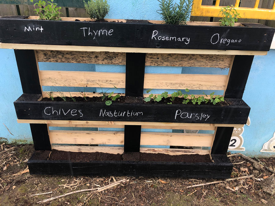 Lots of herbs growing in the garden